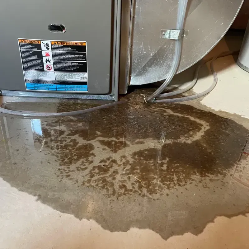 Appliance Leak Cleanup in Hartford, KY